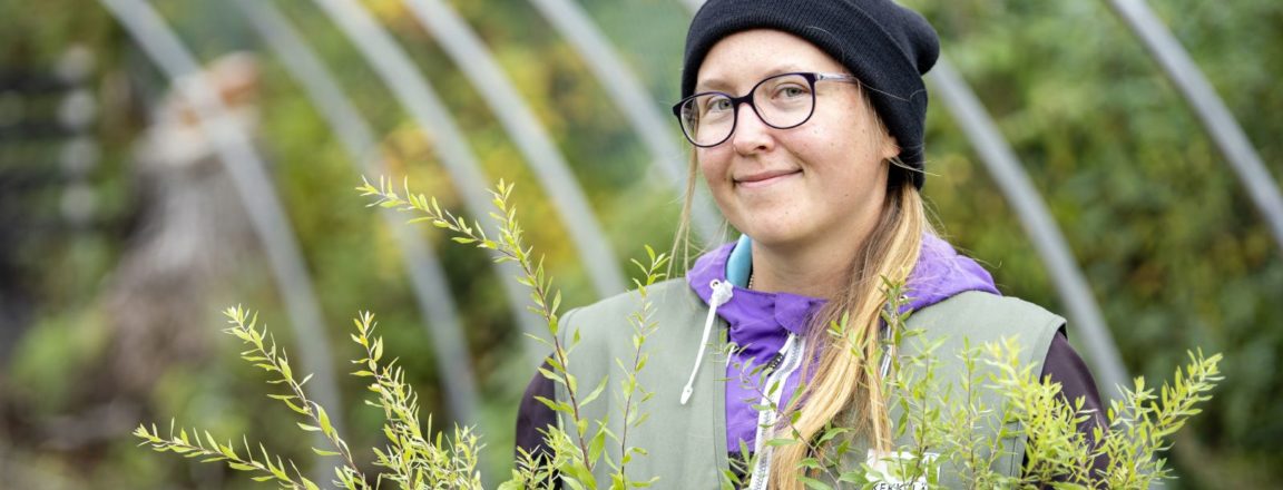 Mustaan pipoon ja vihreään liiviin pukeutunut silmälasipäinen nainen seisoo kasvihuoneessa ja pitää käsissään kahta ruukkua, joissa on pensaan taimet.