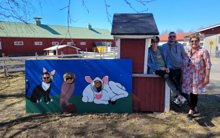 Kolme henkilöä kurkistaa tintamareskin pääaukoista, joista yksi on kissa, toinen lintu ja kolmas lehmä. Vieressä kolme muuta henkilöä poseeraa kameralle nojaten punaiseen maitolaituriin. Taustalla näkyy navetan piha-aluetta.